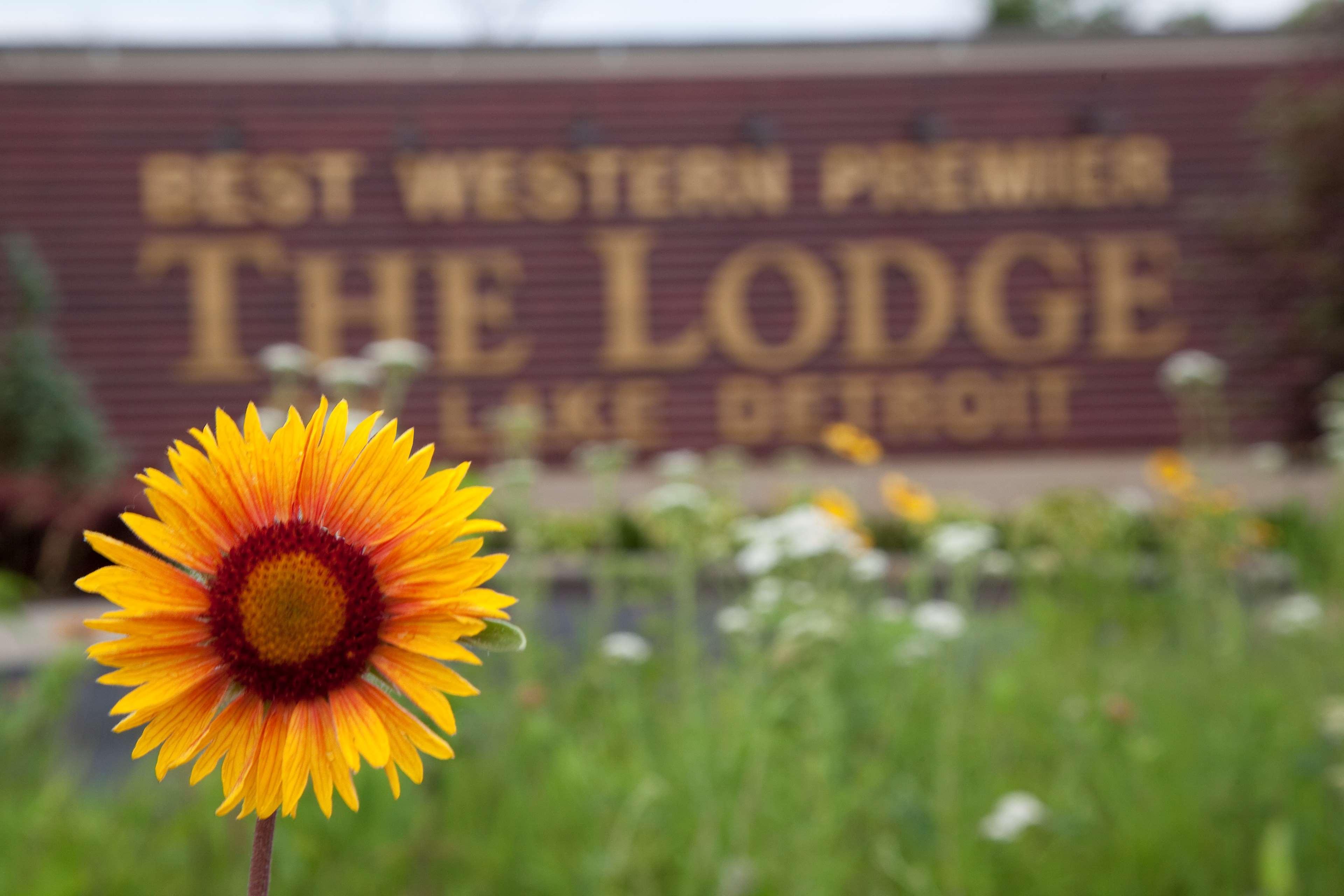 Best Western Premier The Lodge On Lake Detroit Detroit Lakes Luaran gambar